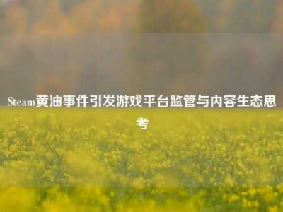 Steam黄油事件引发游戏平台监管与内容生态思考