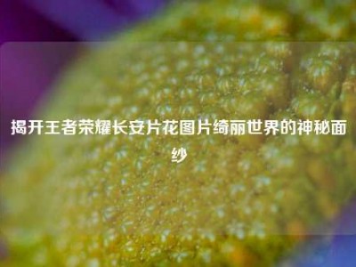揭开王者荣耀长安片花图片绮丽世界的神秘面纱