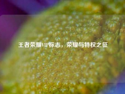 王者荣耀VIP标志，荣耀与特权之征