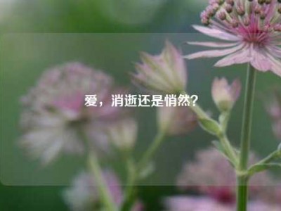 爱，消逝还是悄然？