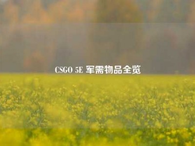 CSGO 5E 军需物品全览