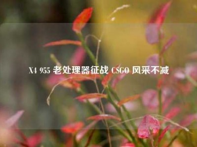 X4 955 老处理器征战 CSGO 风采不减