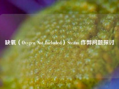 缺氧（Oxygen Not Included）Steam 作弊问题探讨