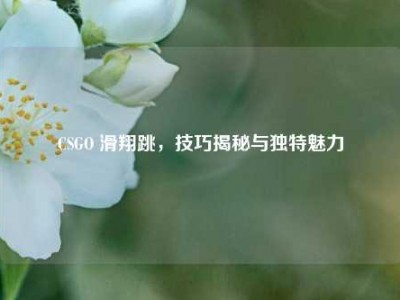 CSGO 滑翔跳，技巧揭秘与独特魅力