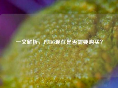 一文解析，PUBG现在是否需要购买？