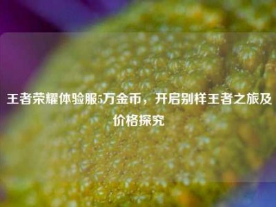 王者荣耀体验服5万金币，开启别样王者之旅及价格探究