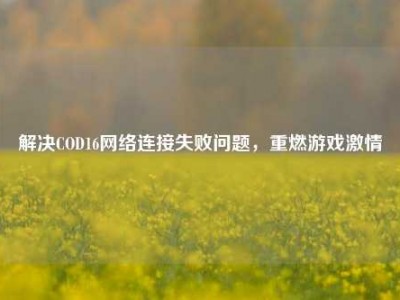 解决COD16网络连接失败问题，重燃游戏激情