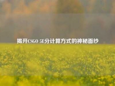 揭开CSGO 5E分计算方式的神秘面纱
