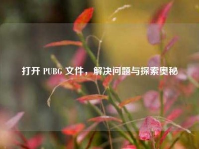 打开 PUBG 文件，解决问题与探索奥秘