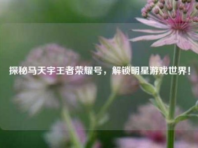 探秘马天宇王者荣耀号，解锁明星游戏世界！