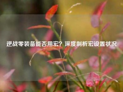 逆战零装备能否用宏？深度剖析宏设置状况