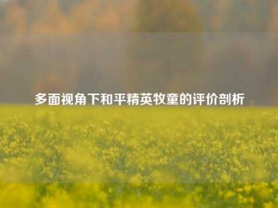 多面视角下和平精英牧童的评价剖析