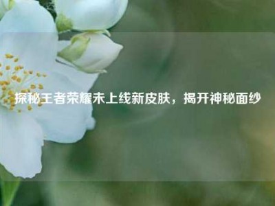 探秘王者荣耀未上线新皮肤，揭开神秘面纱