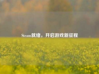 Steam就绪，开启游戏新征程