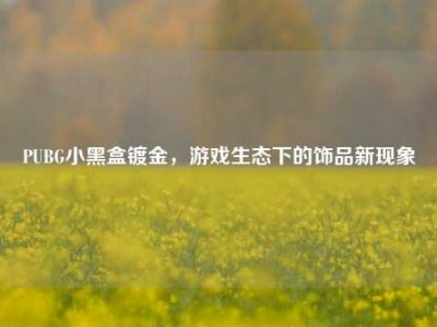 PUBG小黑盒镀金，游戏生态下的饰品新现象
