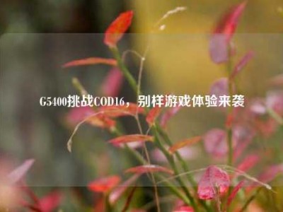 G5400挑战COD16，别样游戏体验来袭