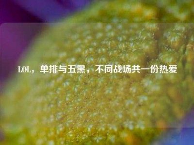 LOL，单排与五黑，不同战场共一份热爱