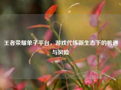 王者荣耀单子平台，游戏代练新生态下的机遇与风险