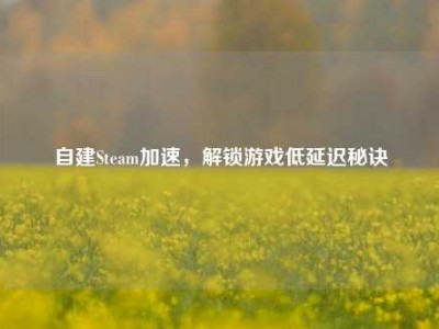 自建Steam加速，解锁游戏低延迟秘诀
