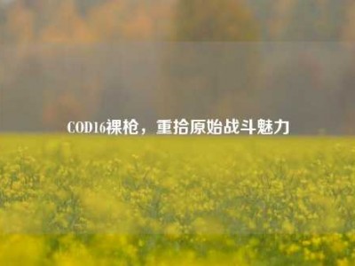COD16裸枪，重拾原始战斗魅力