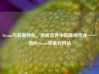 Steam与慈善网站，游戏世界中的温暖传递——国内Steam慈善包网站
