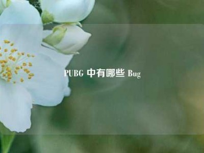 PUBG 中有哪些 Bug