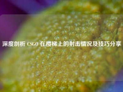 深度剖析 CSGO 在楼梯上的射击情况及技巧分享