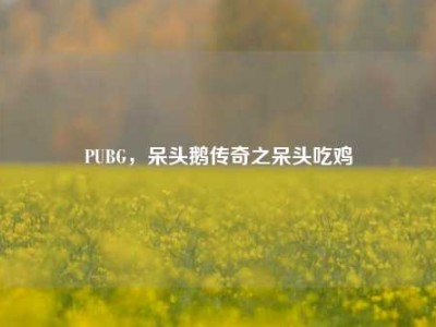 PUBG，呆头鹅传奇之呆头吃鸡