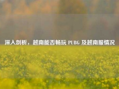 深入剖析，越南能否畅玩 PUBG 及越南服情况