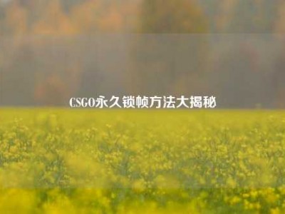 CSGO永久锁帧方法大揭秘