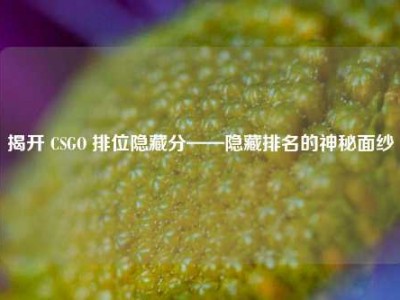 揭开 CSGO 排位隐藏分——隐藏排名的神秘面纱