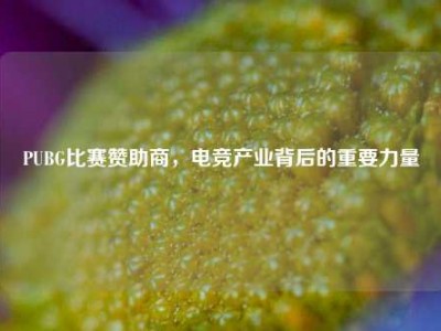 PUBG比赛赞助商，电竞产业背后的重要力量
