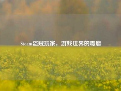 Steam盗贼玩家，游戏世界的毒瘤
