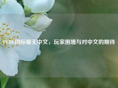 PUBG国际服无中文，玩家困境与对中文的期待
