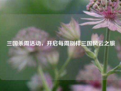 三国杀周活动，开启每周别样三国风云之旅