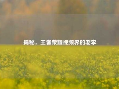 揭秘，王者荣耀视频界的老李