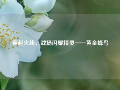 穿越火线，战场闪耀精灵——黄金蜂鸟