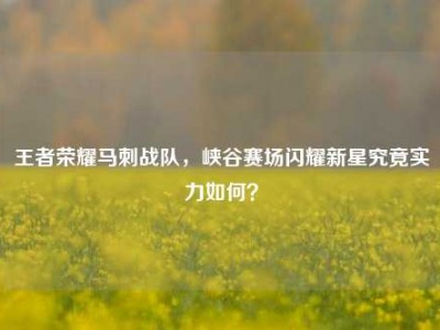 王者荣耀马刺战队，峡谷赛场闪耀新星究竟实力如何？