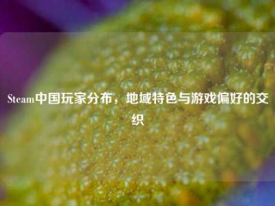 Steam中国玩家分布，地域特色与游戏偏好的交织