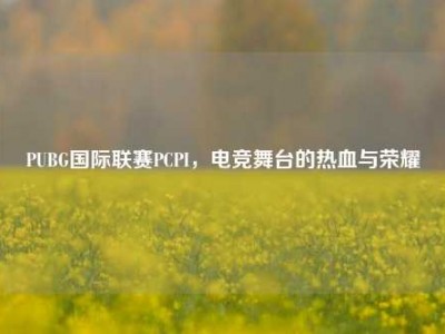 PUBG国际联赛PCPI，电竞舞台的热血与荣耀