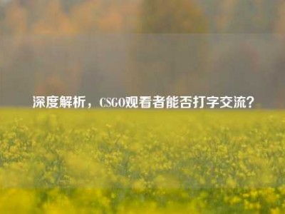 深度解析，CSGO观看者能否打字交流？