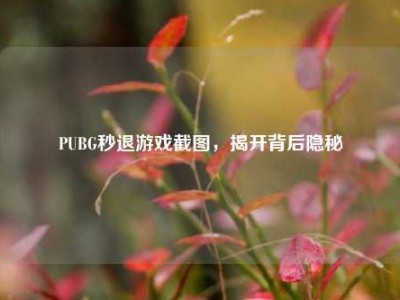 PUBG秒退游戏截图，揭开背后隐秘