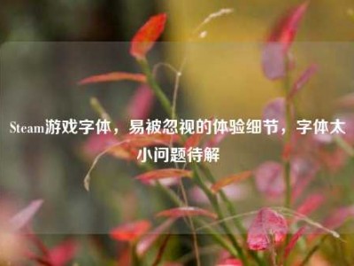 Steam游戏字体，易被忽视的体验细节，字体太小问题待解
