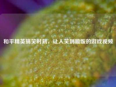 和平精英搞笑时刻，让人笑到喷饭的游戏视频