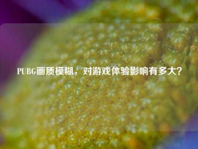 PUBG画质模糊，对游戏体验影响有多大？