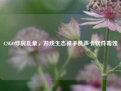 CSGO炸房乱象，游戏生态被手机声卡软件毒蚀