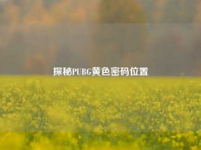探秘PUBG黄色密码位置