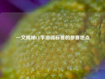 一文揭秘CF手游锦标赛的参赛地点
