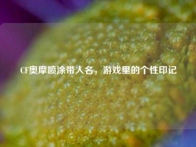 CF奥摩喷涂带人名，游戏里的个性印记