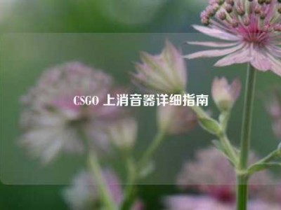 CSGO 上消音器详细指南